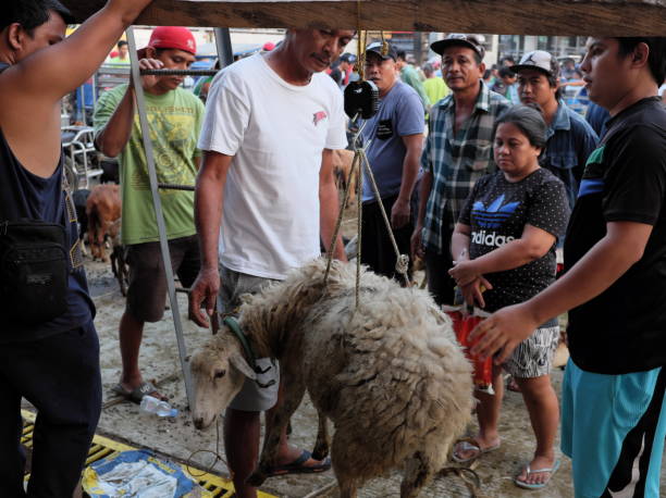 Jelang Idul Adha, Permintaan Hewan Kurban di Pasar Padalarang Melonjak Tajam